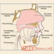 Рак носоглотки: симптомы, лечение, причины